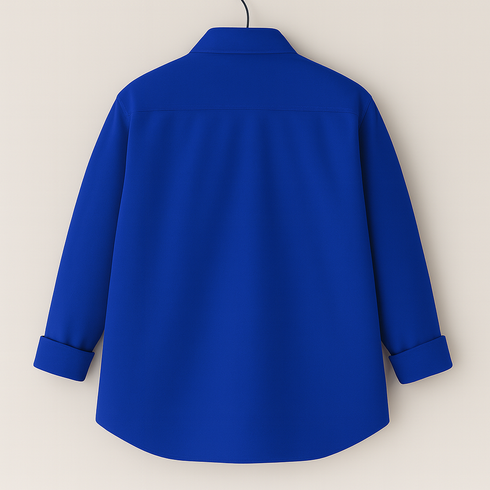Men's Royal Blue Regular Fit Full Sleeves Shirt