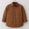 Men's Brown Regular Fit Full Sleeves Shirt